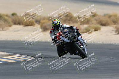 media/Mar-28-2022-Superbike Trackdays (Mon) [[b8603d0f67]]/Open Track Time/Turn 16/